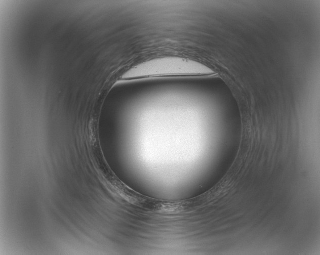 X0000056020088200508190931