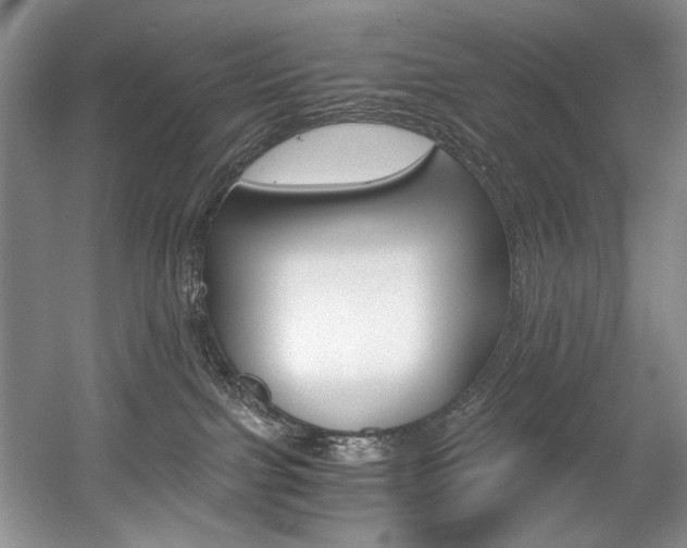 X0000056020091200508190931