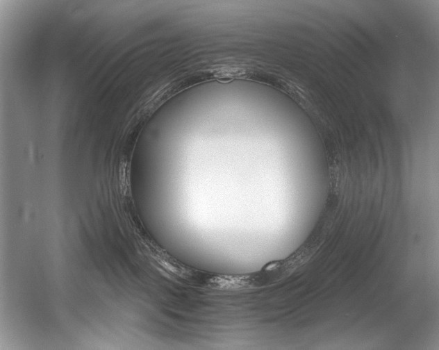 X0000056020093200508190931