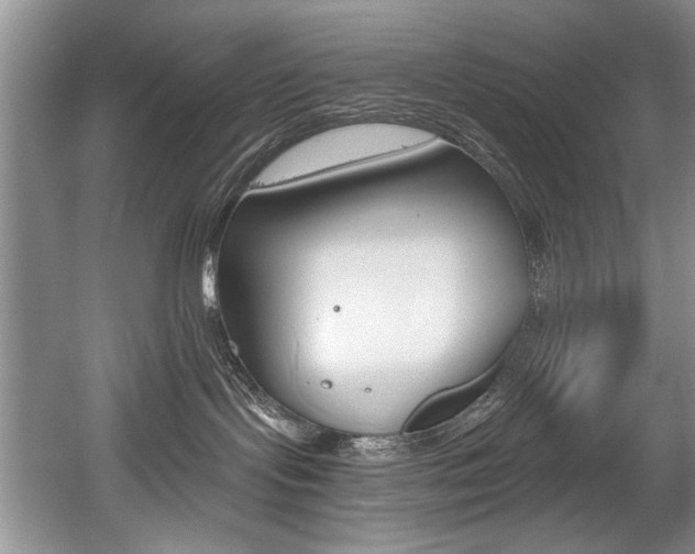 X0000056020095200508190931