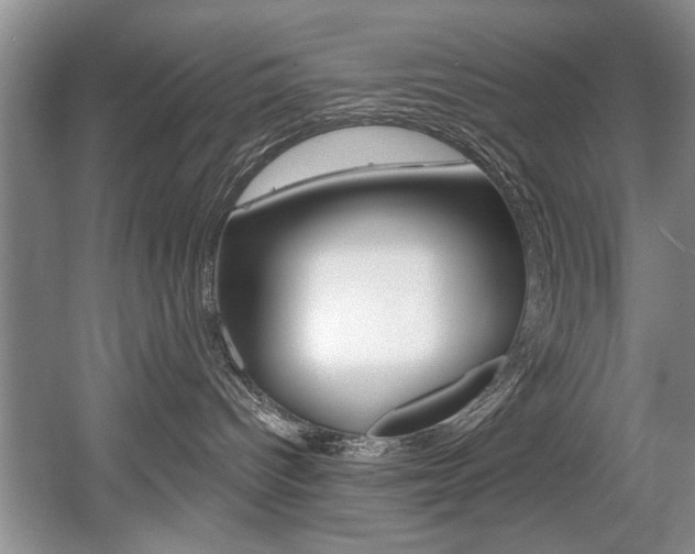 X0000056020096200508190931