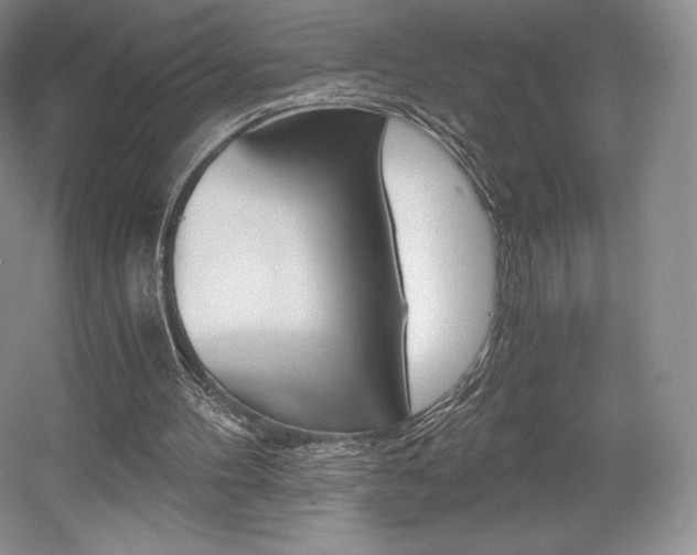 X0000056020100200508190931