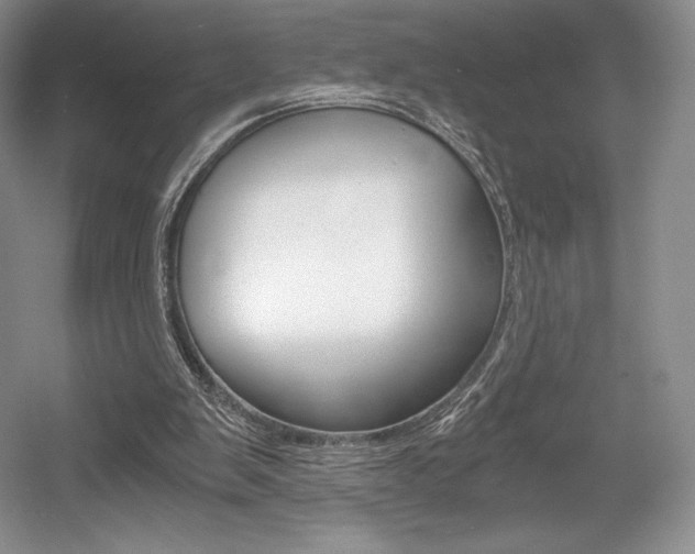 X0000056020103200508190930