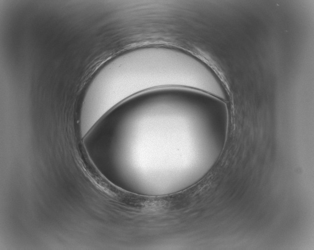 X0000056020105200508190930