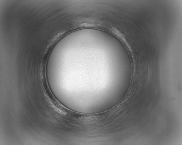 X0000056020106200508190930