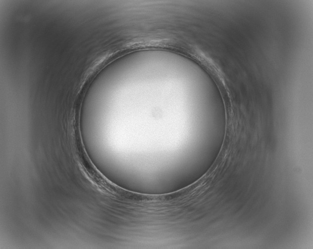 X0000056020107200508190930