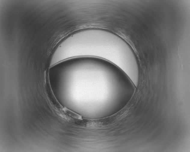 X0000056020109200508190930