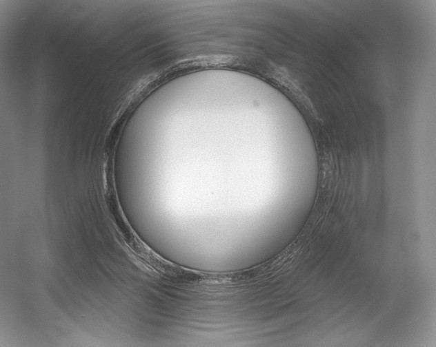 X0000056020110200508190930