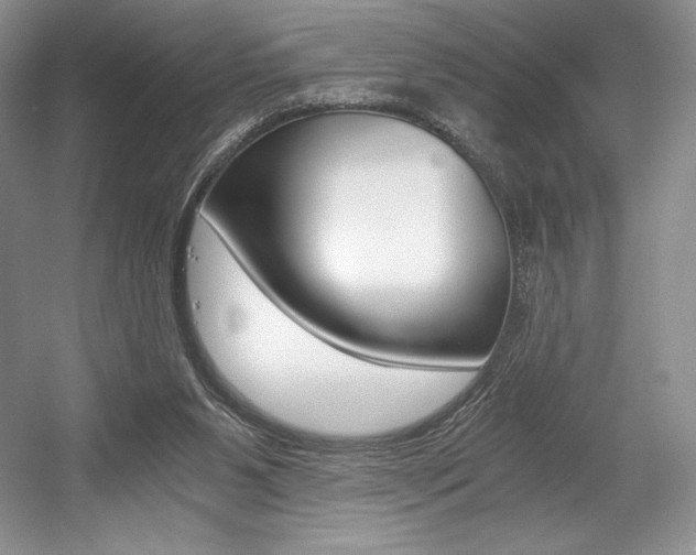X0000056020111200508190930