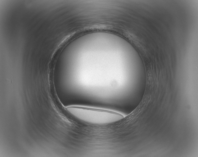 X0000056020112200508190930