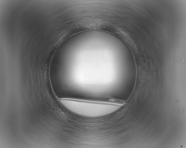X0000056020113200508190930