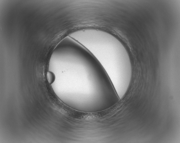 X0000056020115200508190930