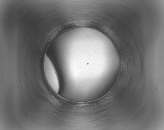 X0000056020117200508190930