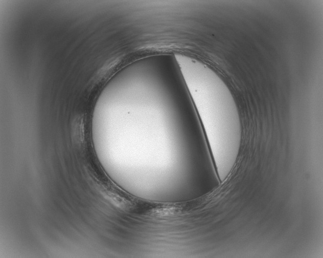 X0000056020120200508190930