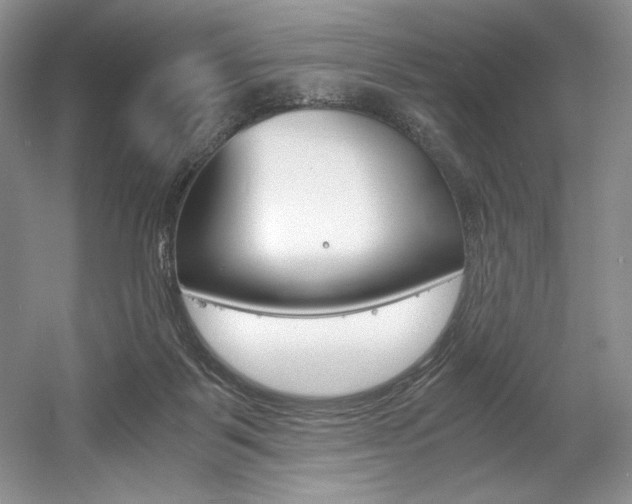 X0000056020123200508190930