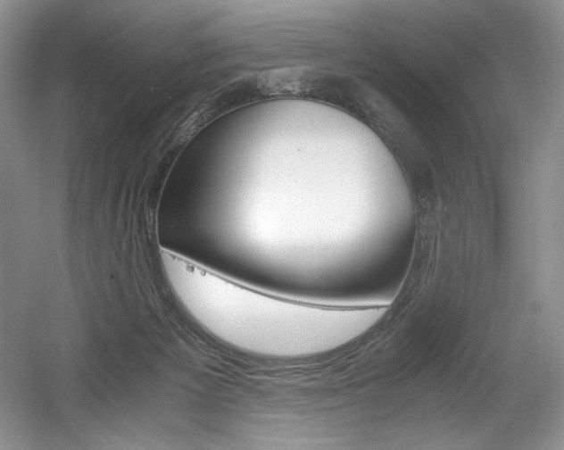 X0000056020125200508190930