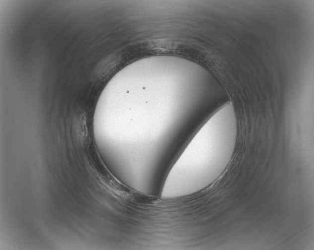 X0000056020128200508190930