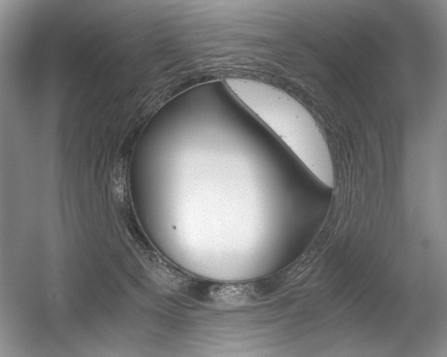 X0000056020129200508190930