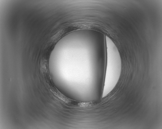 X0000056020141200508190930