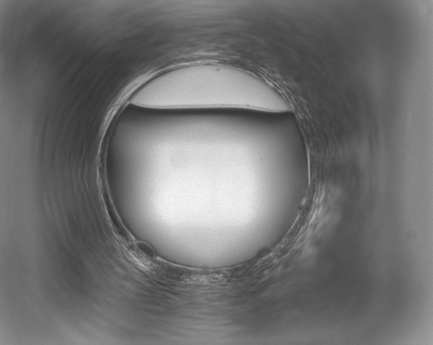 X0000056020147200508190929
