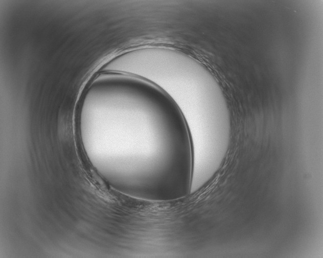 X0000056020148200508190929