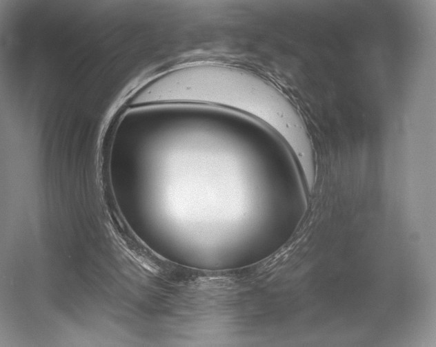 X0000056020150200508190929