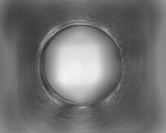 X0000056020151200508190929