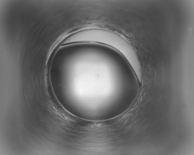 X0000056020152200508190929