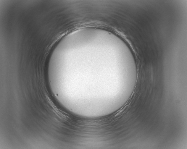 X0000056020154200508190929