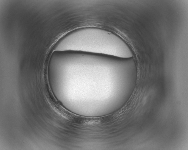 X0000056020155200508190929