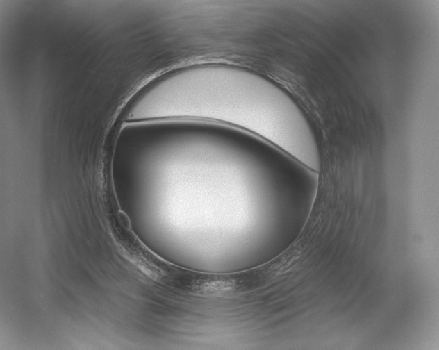 X0000056020156200508190929