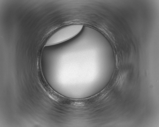 X0000056020157200508190929
