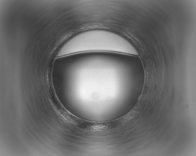 X0000056020158200508190929