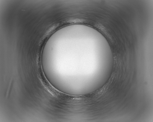 X0000056020159200508190929