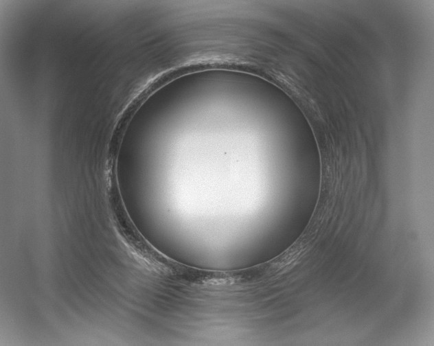 X0000056020160200508190929