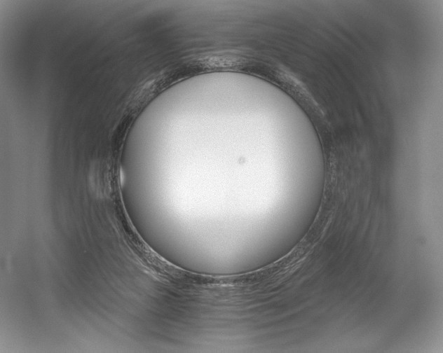 X0000056020161200508190929