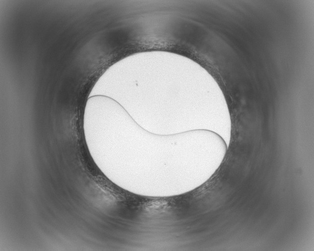 X0000056020162200508190929