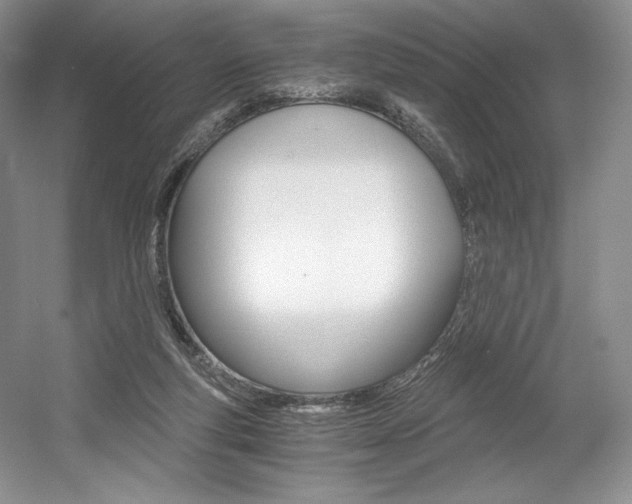 X0000056020163200508190929