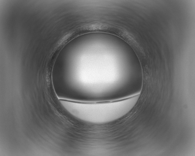X0000056020164200508190929