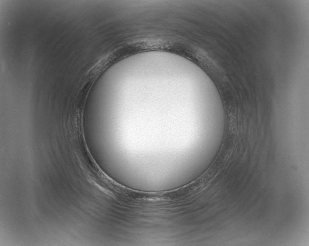 X0000056020165200508190929