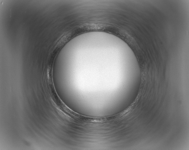 X0000056020166200508190929