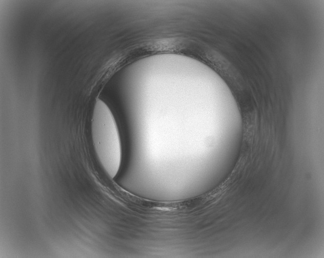 X0000056020167200508190929