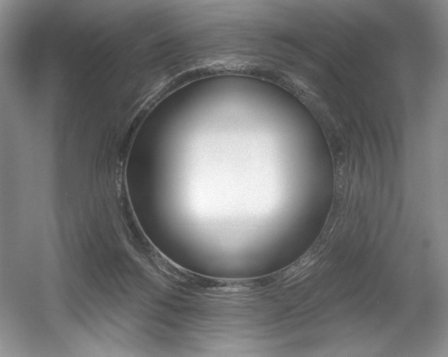X0000056020168200508190929