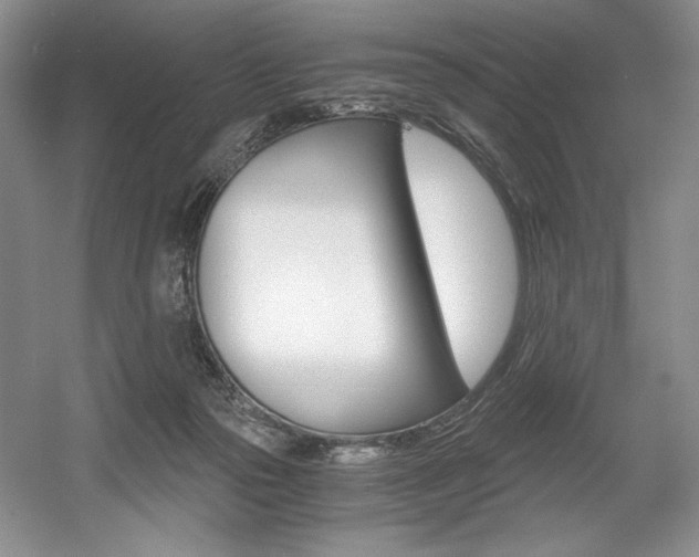 X0000056020169200508190929