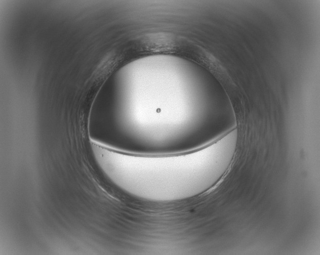 X0000056020170200508190929