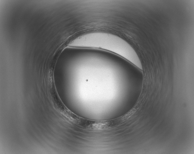 X0000056020172200508190929