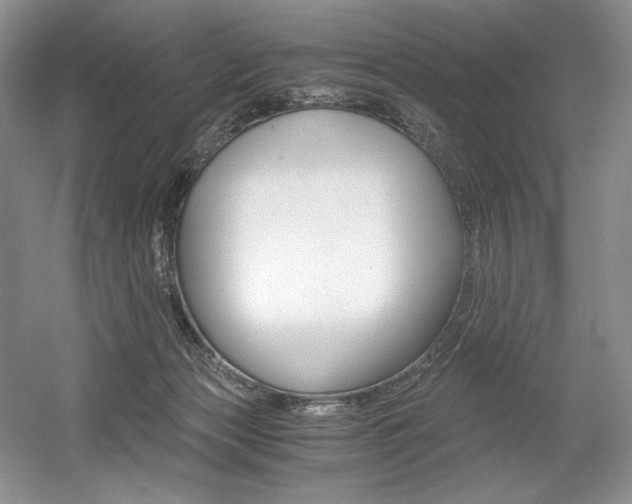 X0000056020173200508190929