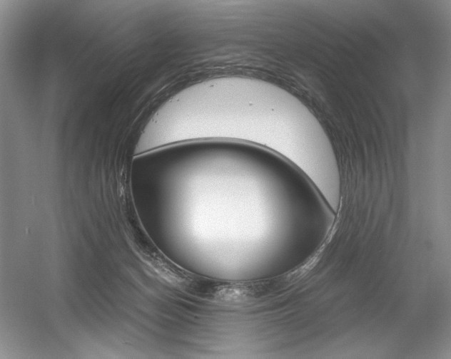 X0000056020174200508190929