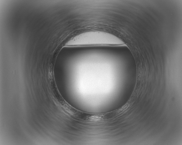 X0000056020176200508190929