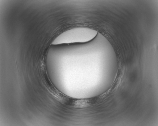 X0000056020179200508190930